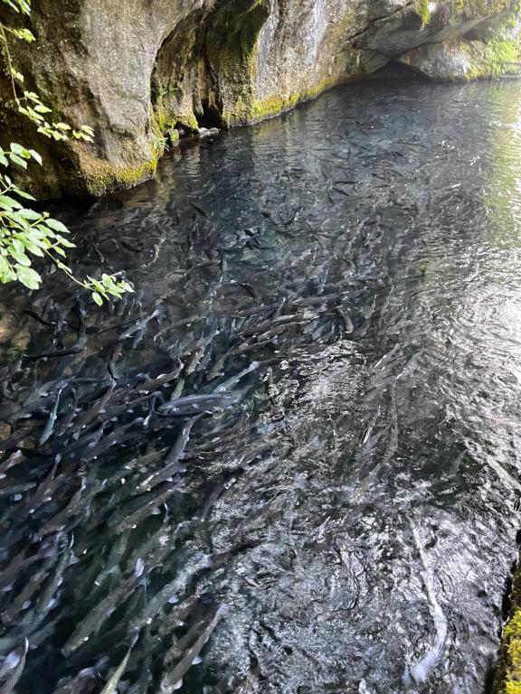 Příroda nedaleko apartmánu