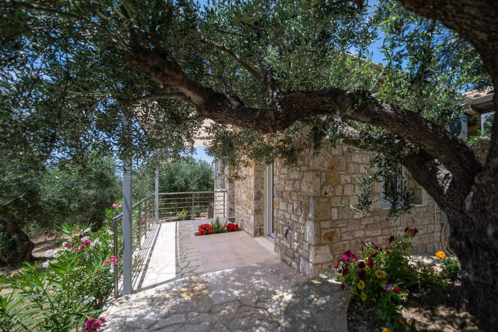 Κήπος έξω από το Anima Horizon - Thalassa Villa