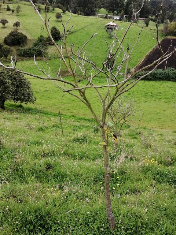 Zahrada ubytování Finca Severo Refugio