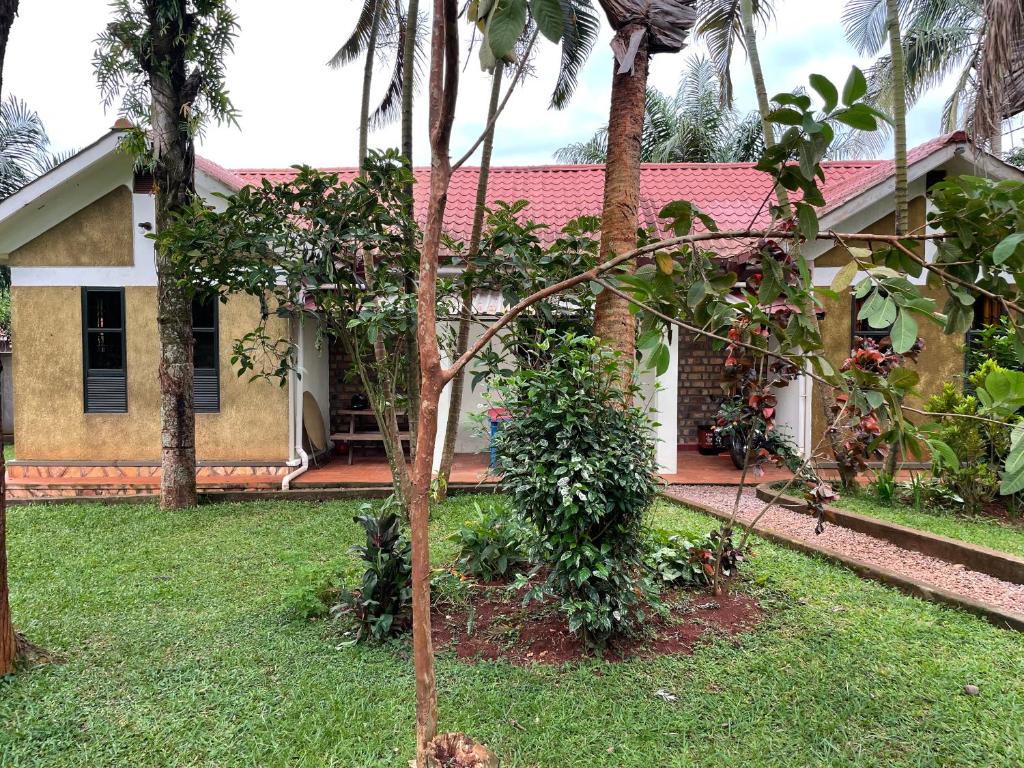 Entebbe gardens holiday home في عنتيبي: منزل فيه نخلة في الساحة
