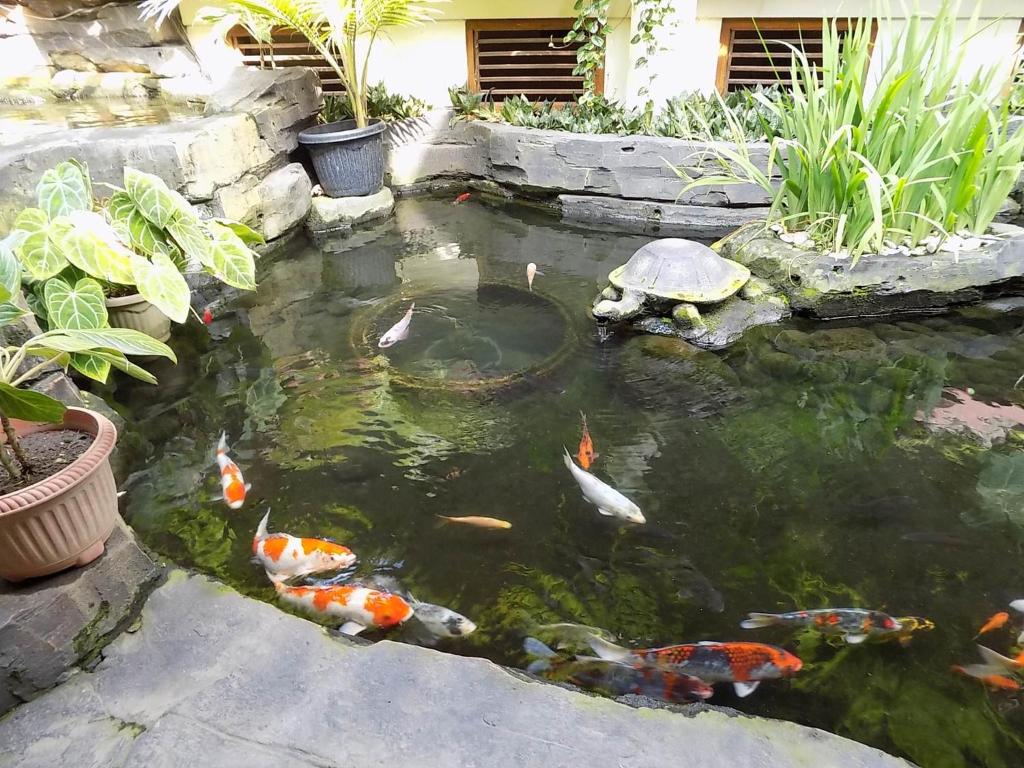 Zahrada ubytování Duta Garden Hotel