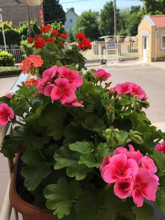 CEU Konferencia Központ - Resim 40