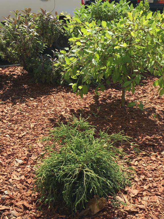 CEU Konferencia Központ - Resim 41