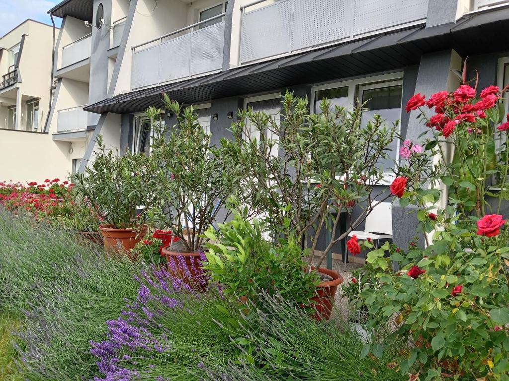 A garden outside Apartmany Fantagiro