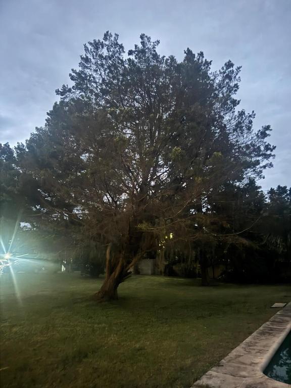 casa independiente dentro de un quinta