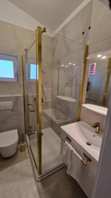 W łazience znajduje się prysznic, umywalka i toaleta. w obiekcie Apartmani Kod Barbe w mieście Vir
