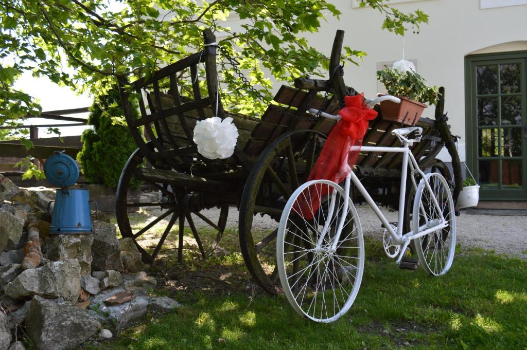 Jazda na bicykli v okolí ubytovania Edvy Malom Fogadó Barokk Udvarház