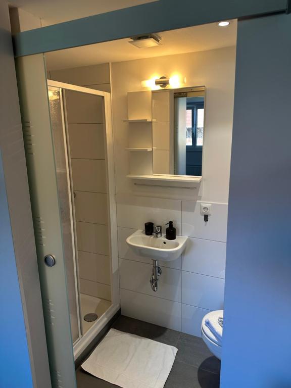 Koupelna v ubytování Haus Geiger