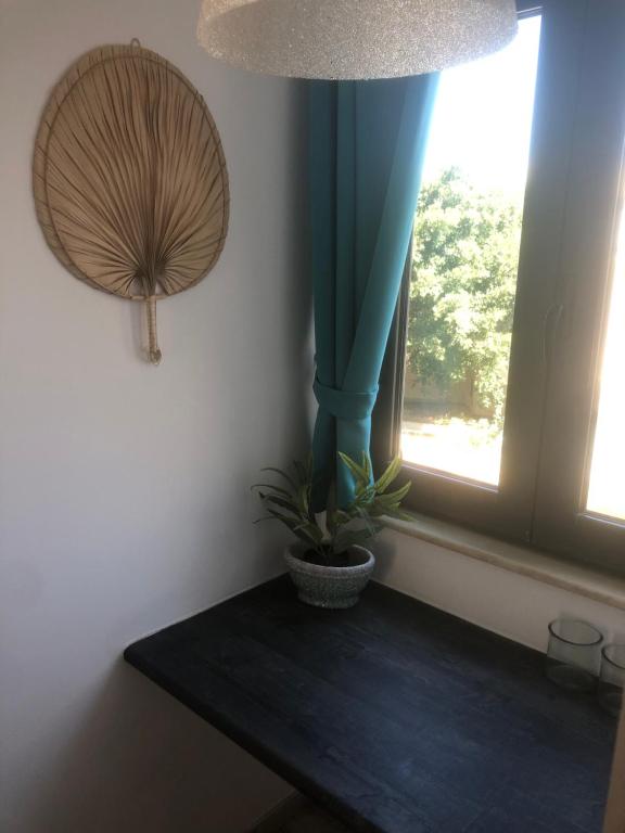 Rethymno Hills Apartments - 5