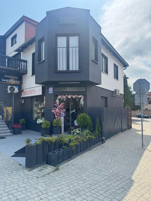 Apartament Lena - 10