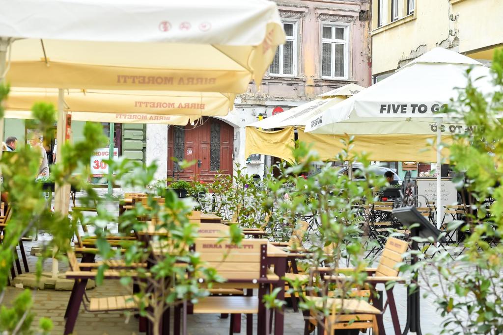 Casa Baritiu - budget - Resim 8