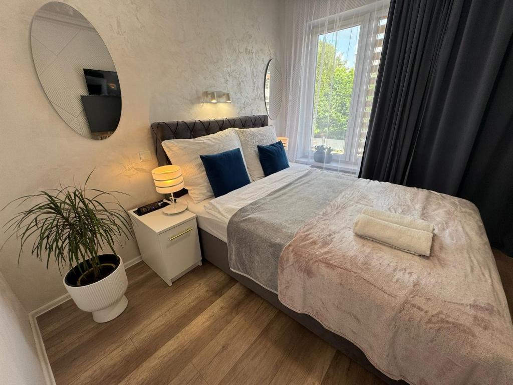 Apartament Lena - 15