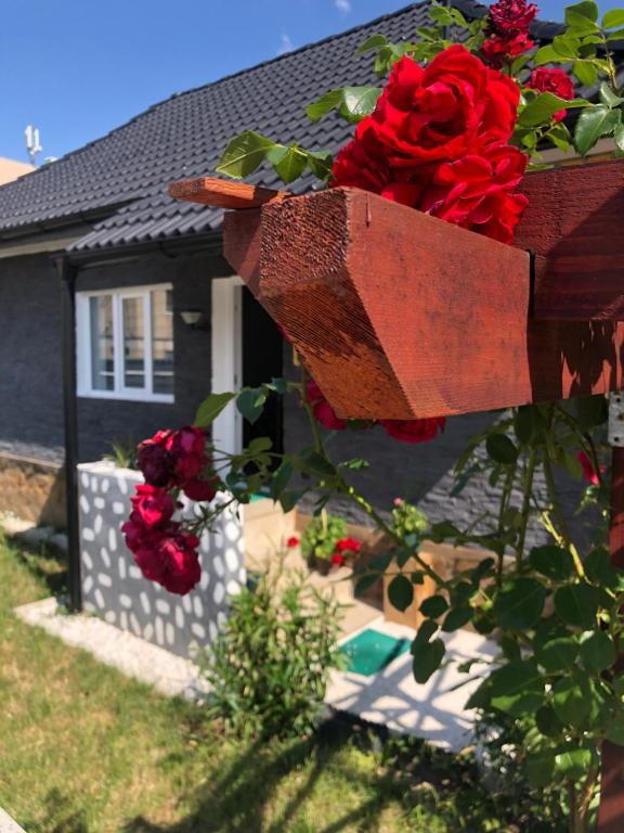 a bouquet of red roses on a fence in front of a house at Ulita in Bumbeşti-Jiu