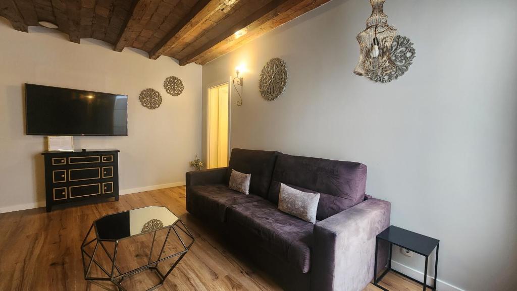 Televízia a/alebo spoločenská miestnosť v ubytovaní Barrio Gotico Apartments Ferran