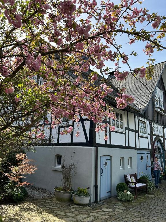 a white and black house with a tree with pink flowers at Fachwerkliebe Ornes 1 in Olsberg