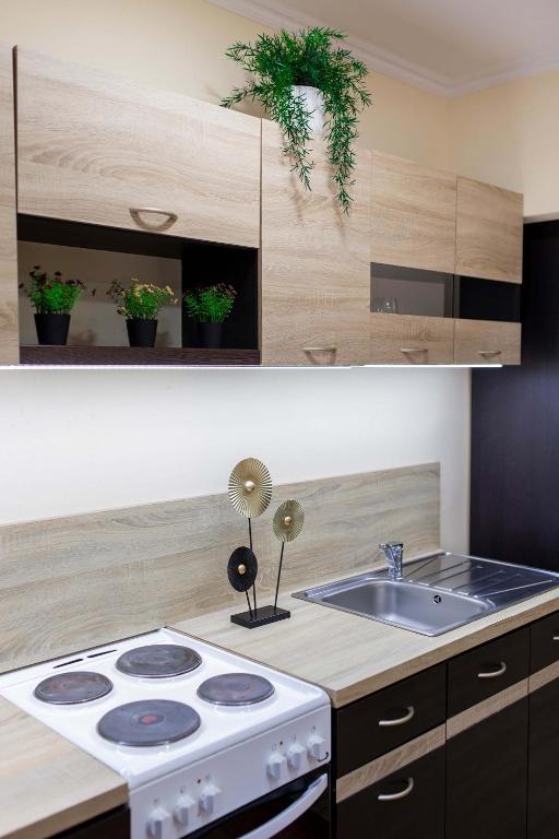 Lucsony Apartman - 