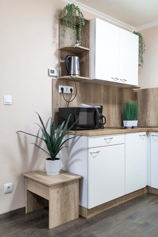 Lucsony Apartman - 