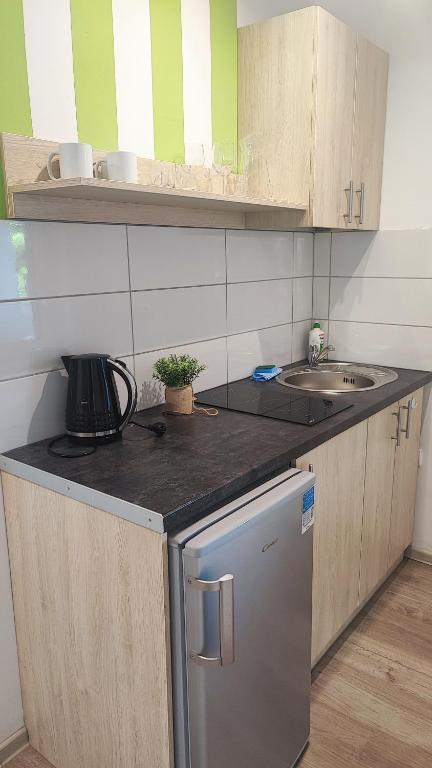 małą kuchnię ze zlewem i lodówką w obiekcie Apartamenty Poddąbek- basen kryty, sauna, animacje dla dzieci , małpi gaj, baseny na dachu w Poddąbiu