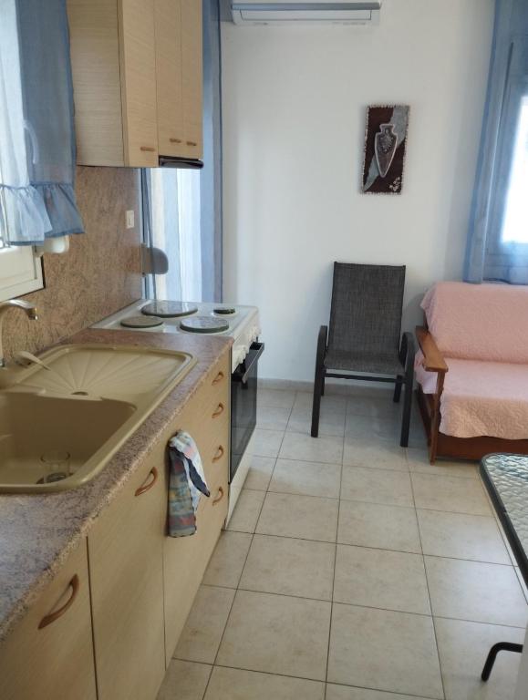 Kuchyň nebo kuchyňský kout v ubytování Villa Platskos vol 2