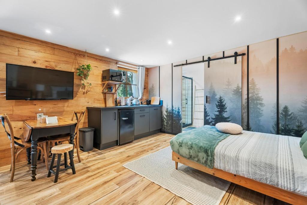 ein Schlafzimmer mit Bett, Schreibtisch und Fernseher in der Unterkunft Essencia in Dardennes