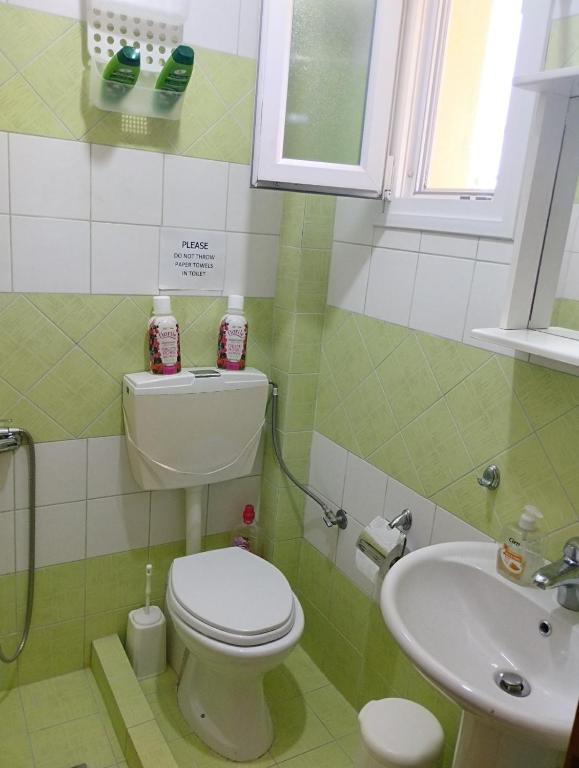 Koupelna v ubytování Villa Platskos vol 2