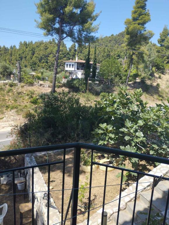 Příroda nedaleko apartmánu
