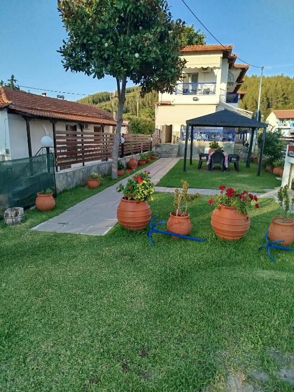 Zahrada ubytování StamFlor Studios