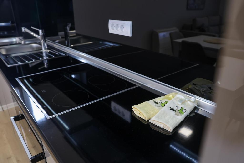 Kuchyň nebo kuchyňský kout v ubytování Apartmani Lepojevic