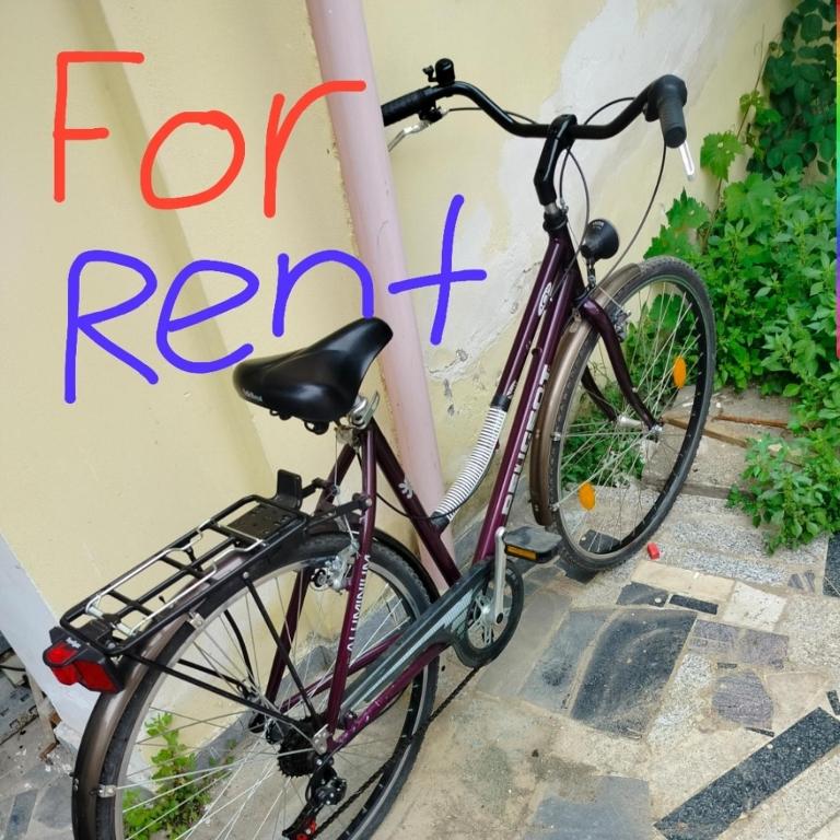 Jízda na kole v ubytování Backpackers Casa De Payaso nebo okolí