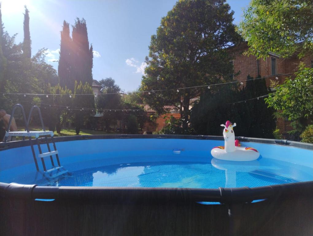 Bazén v ubytování MARIA HOLIDAY HOMES La Pineta di Sinalunga nebo v jeho okolí