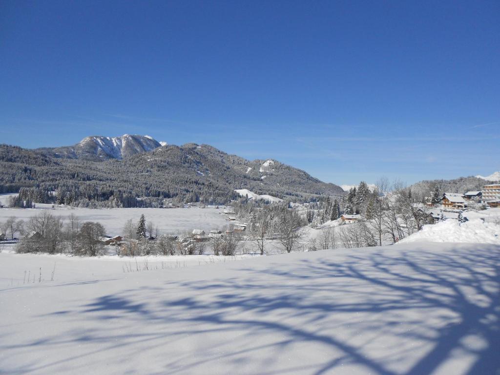una carretera cubierta de nieve con una montaña en el fondo en Haus Jank, en Weissensee