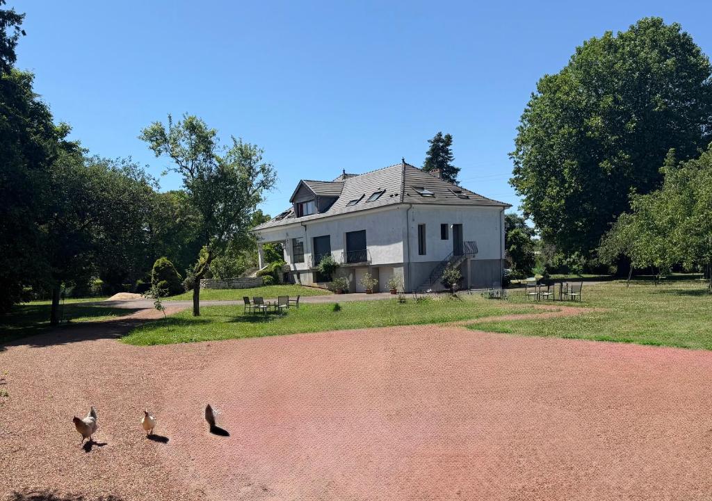 a group of birds walking in front of a house at Aux Gites Lorrains in Richemont