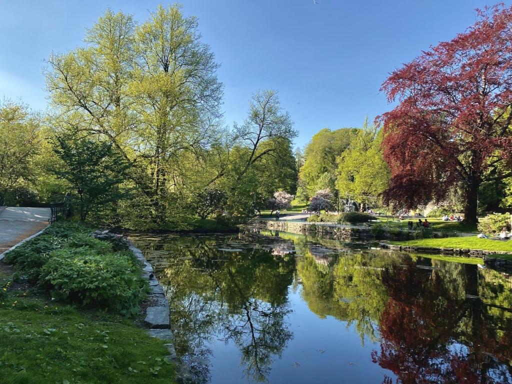 Magic Hotel Solheimsviken - Resim 38