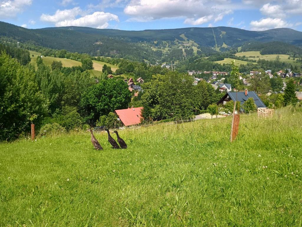 Příroda nedaleko prázdninového domu