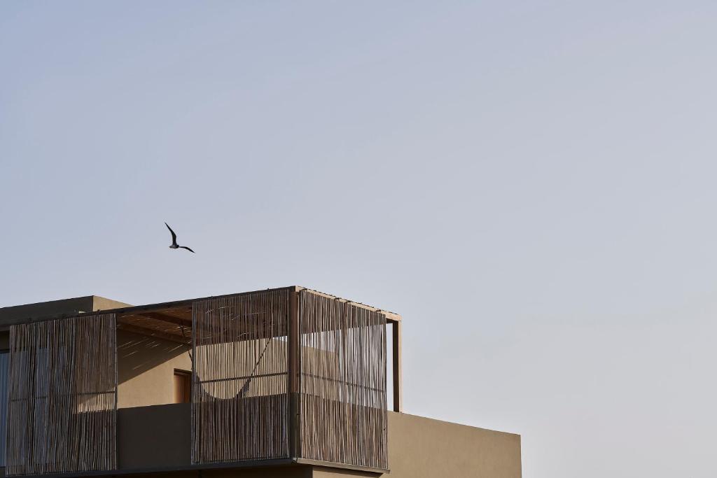 Casa Cook El Gouna - Adults Only - 8