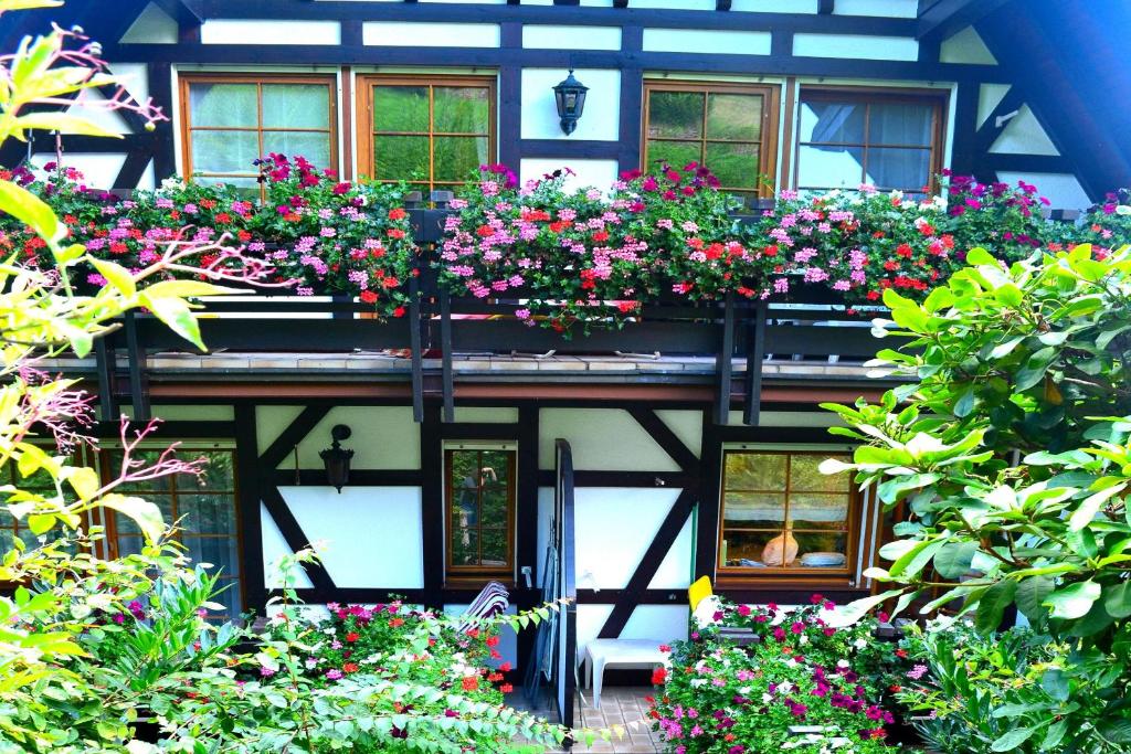 Zahrada ubytování Haus Bachschwalbe