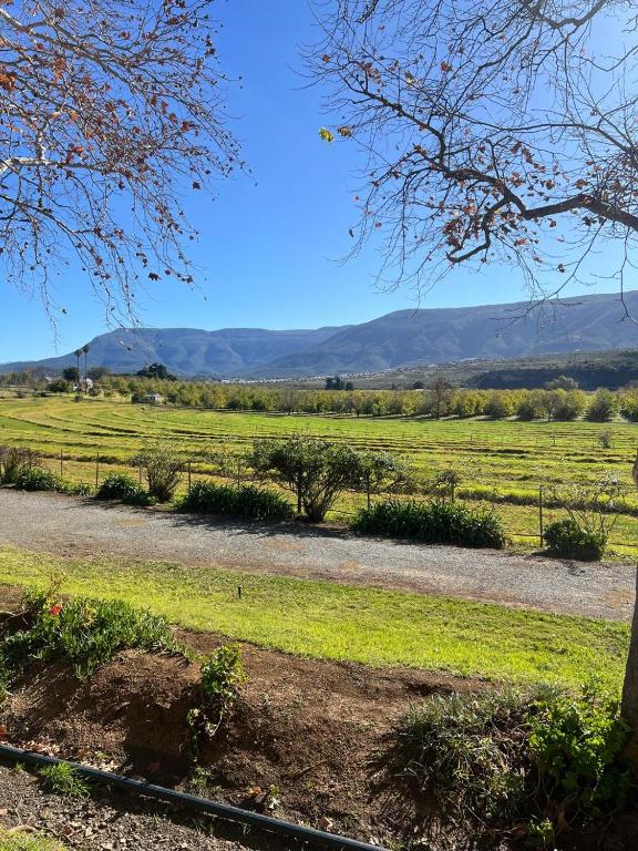 a dirt road in a field with mountains in the background at Boschberg Cottage in Somerset East