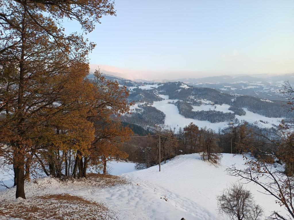 Φυσικό τοπίο κοντά σε αυτό το καταφύγιο