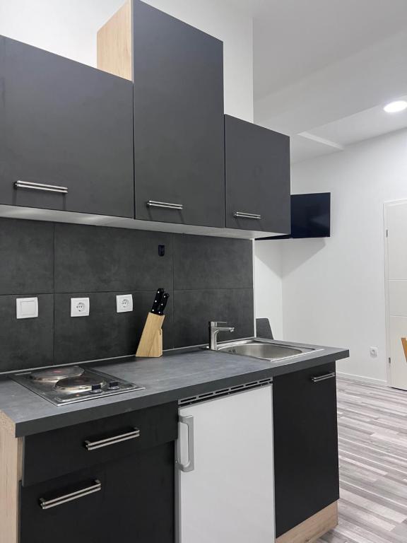 a kitchen with a sink and a counter top at ROYAL RACiNG SUiTE TOP 2 in Judenburg