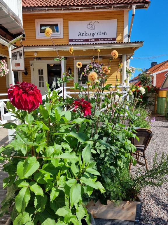 Zahrada ubytování Pensionat Ankargården