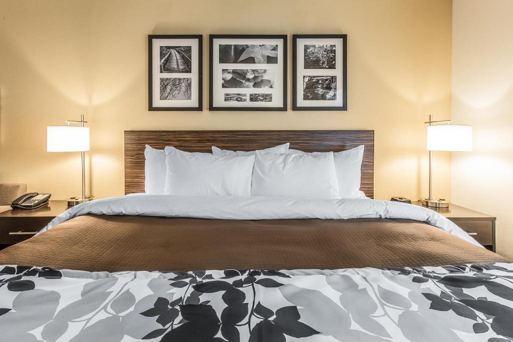 Sleep Inn & Suites Jasper I-22 - Room King - Non-fumeur