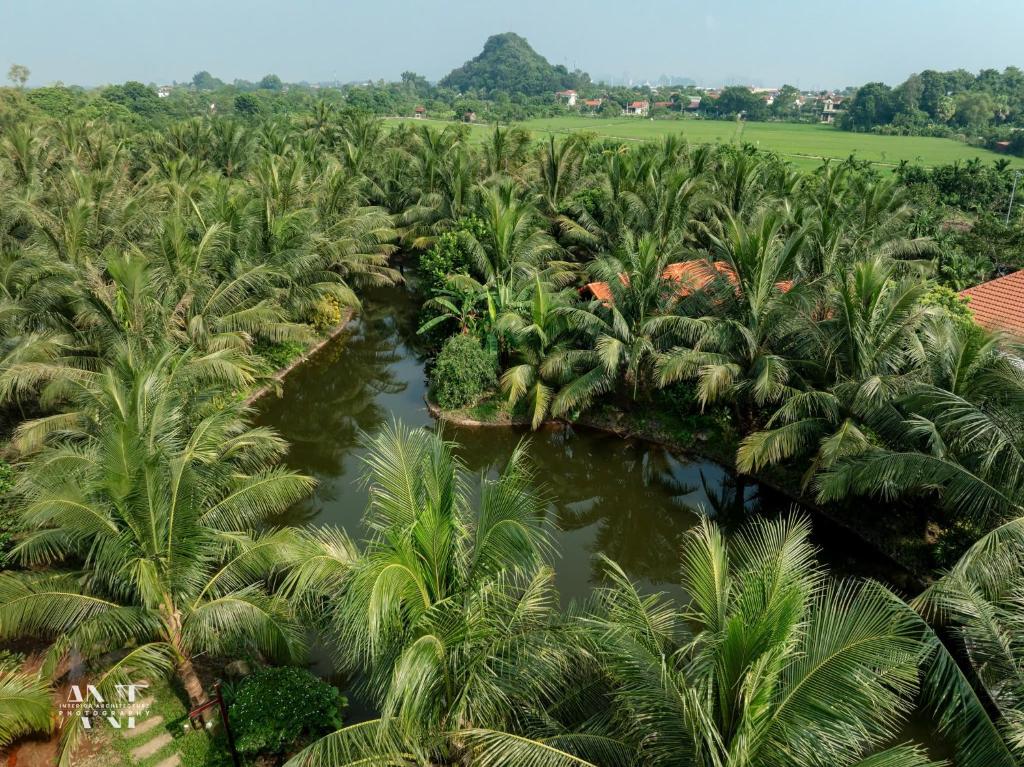 Nature Garden Ecolodge Ninh Bình - 9