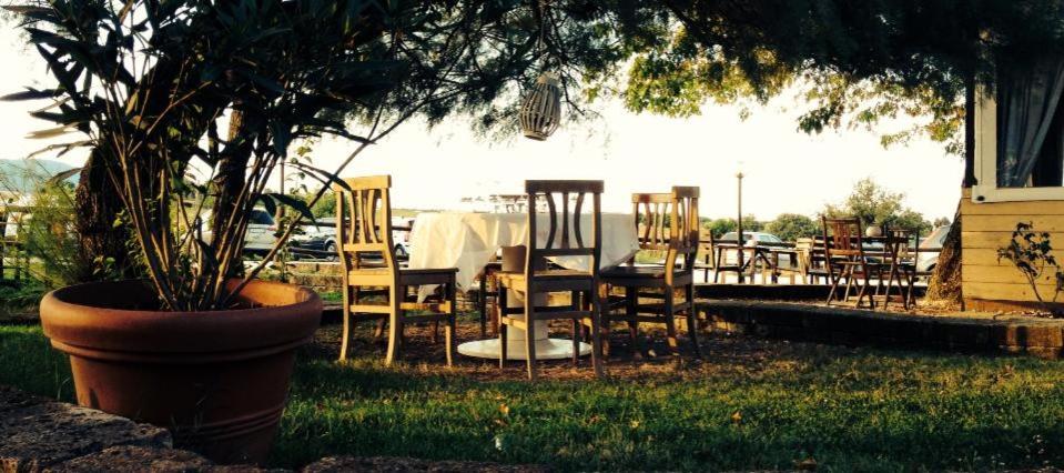 un grupo de sillas y una mesa con un árbol en Agriturismo Hornos, en Numana