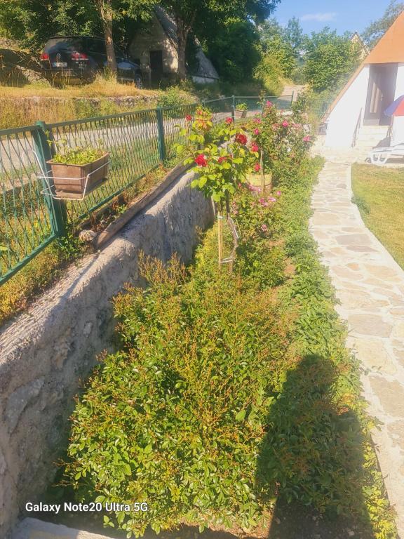 Zahrada ubytování Seoski dom