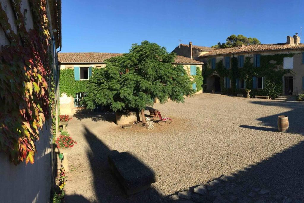 an empty courtyard with a tree in the middle at Charmante maison à Laure-Minervois avec piscine et jardin in Laure-Minervois