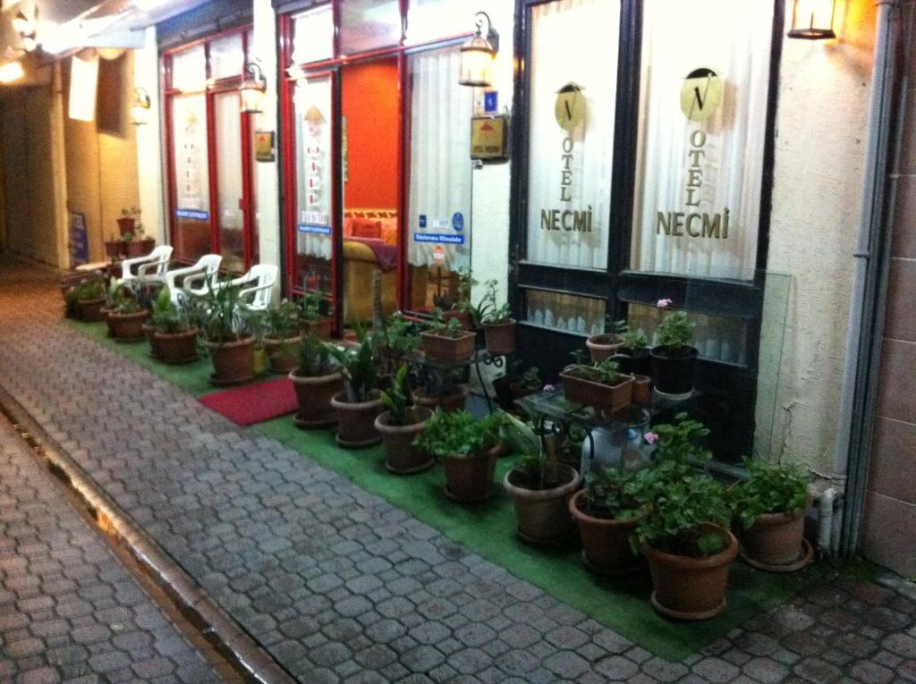 uma fila de vasos de plantas ao lado de um edifício em Hotel Necmi em Samsun