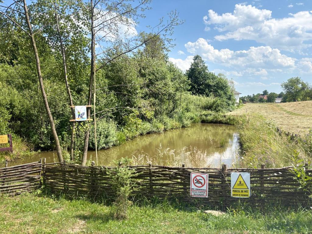 Afbeelding uit fotogalerij van Baltina Parc Transfagarasan in Curtea de Argeş