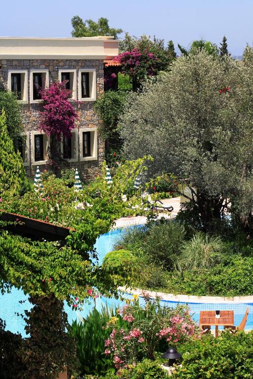 Bazén v ubytování Zeytinada Hotel nebo v jeho okolí