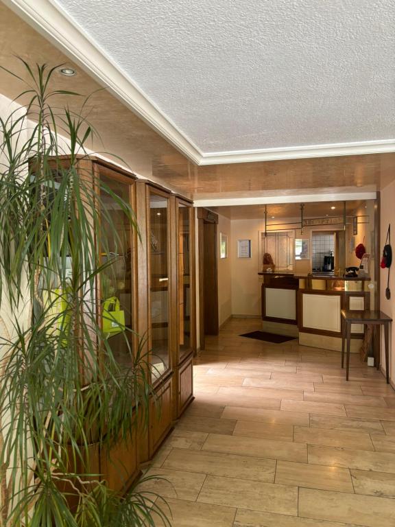 Vstupní hala nebo recepce v ubytování Hotel Wasserfall
