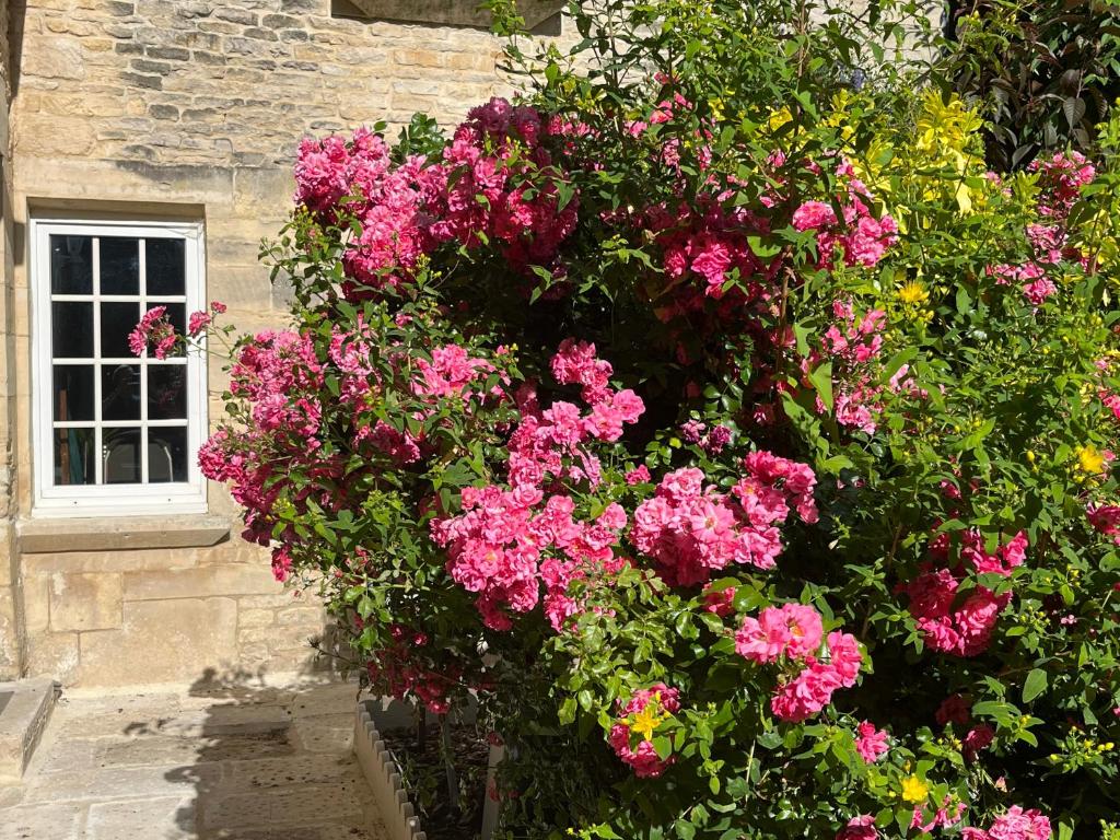 Zahrada ubytování Chambres d’hôtes de l’Ancienne Auberge